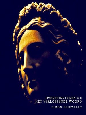 cover image of Overpeinzingen 3.0